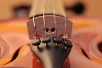 Stradivarius_[Jalva].jpg